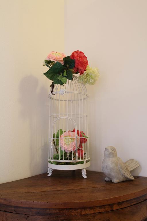 Snug Nest Côme